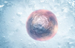 爱之晶：试管冻胚移植自然周期有哪些要求呢?